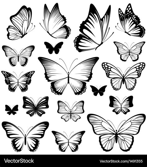 Butterfly Silhouettes Royalty Free Vector Image