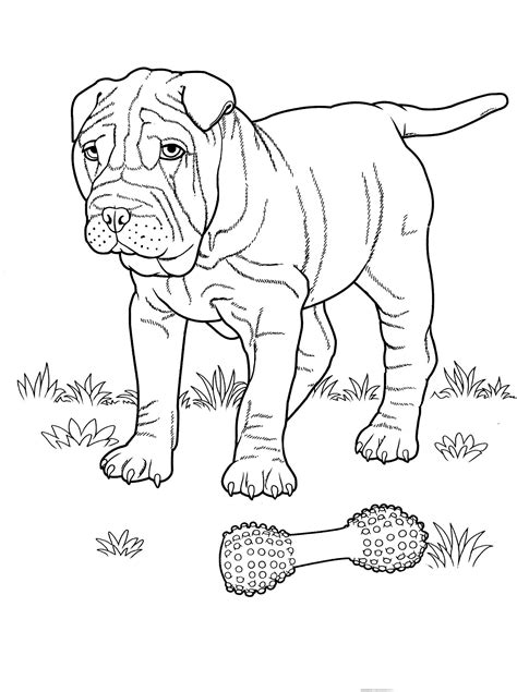 Dogcoloringpages2 Teenagers Coloring Pages Dog Coloring Book Puppy