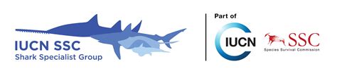Visual Identity And Brand Guide Iucn Ssc Shark Specialist Group