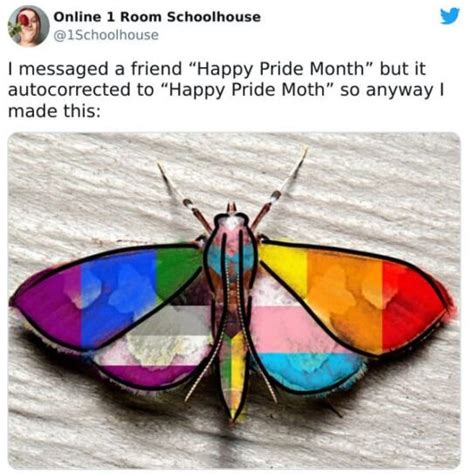 Dumb Gay Pride Memes Vvticases