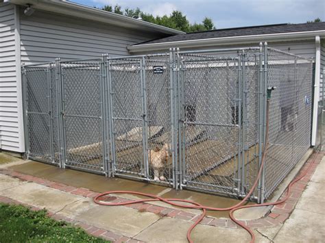 Hfc Dog Kennel Installation Photos