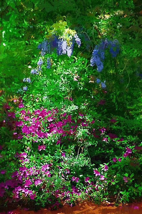 Wisteria And Azaleas Photograph By Donna Bentley Fine Art America