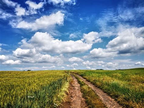 Hdr Field Nature Landscape Background Stock Image Image Of Beautiful