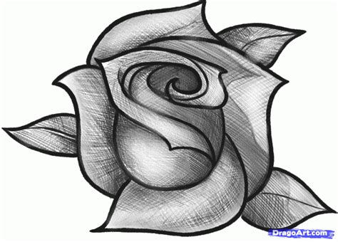How To Sketch A Rose Step By Step Drawing Guide By Dawn Easy Flower Drawings Roses Drawing