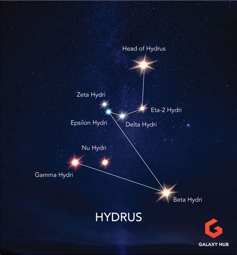 Hydrus Constellation Guide The Male Water Snake Galaxy Hub