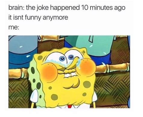 The massive popularity of spongebob squarepants has led to a wide variety of different internet memes based on the show. 22 Life Situations That Are Best Described By "SpongeBob ...