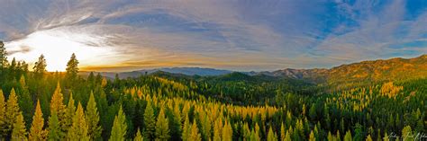 Photos Lovely Larch Season In The Pacific Northwest Seattle Refined