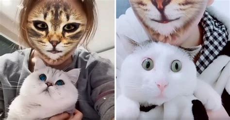 Creepy Cat Filter Is Only Good For Cat Reactions