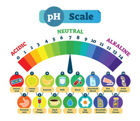 Explainer What The Ph Scale Tells Us Science News For Students