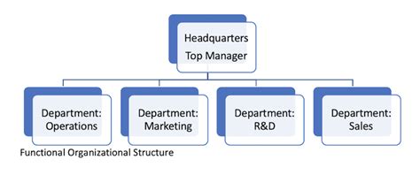 What Is Organizational Structure Of Management Types And Examples