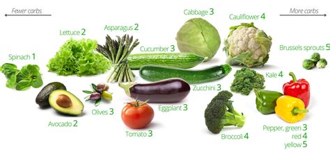 Low Carb Vegetables Visual Guide To The Best And Worst Carb Cycling