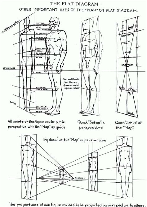 As an advice, try not to draw fully the muscles. Proportions of the Human Figure : How to Draw the Human ...