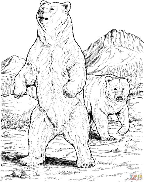 Black Bear Coloring Pages Sketch Coloring Page