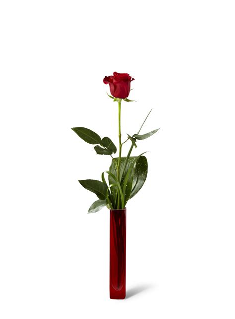 Single Rose In Vase Crazy Daisy Florists