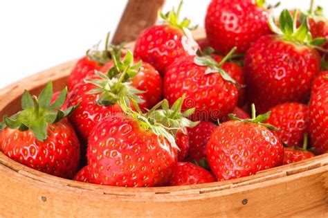 Strawberries Close Up Stock Photo Image Of Harvest Batch 9878152