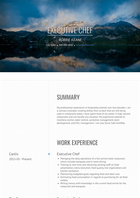 Professional Chef Resume Sample Master Of Template Document