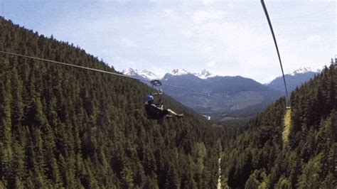 All posts tagged zip zip. Zipline GIF - Find & Share on GIPHY