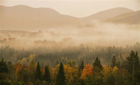 Misty Morning Sunrise Over White Mountains National Forest Photograph