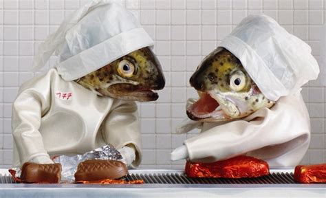 Odd Strange Unusual Weird Funny Art Project Fish The Educational Tourist