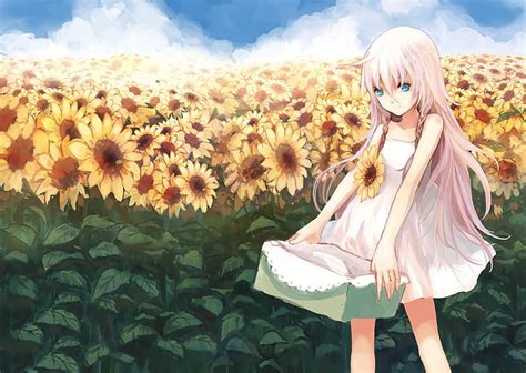 Jadi anda akan melihat bunga matahari pada umumnya, namun pada bagian belakang. Paling Keren 17+ Gambar Bunga Matahari Anime - Gambar ...