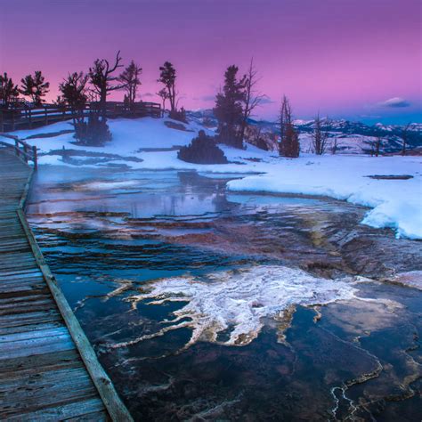 Winter In Yellowstone Wall Art Photography