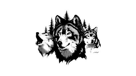 Find & download free graphic resources for wolf logo. Wolves-logo-16x9 - VisualStudio.tv