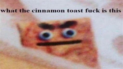 What The Cinnamon Toast Fuck Is This Template Images Gallery Know Your Meme
