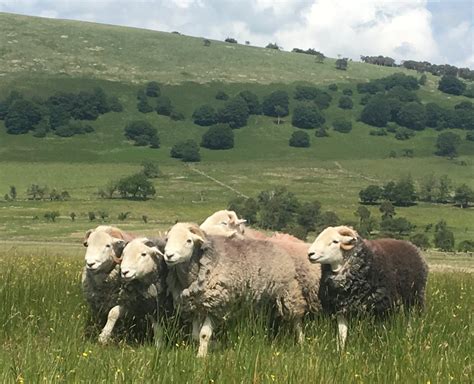 Conway was on a social media hiatus following her parents' announcements up until tuesday when she made her return to the platform. Claudia Conway (@Claudia_Conway) | Twitter