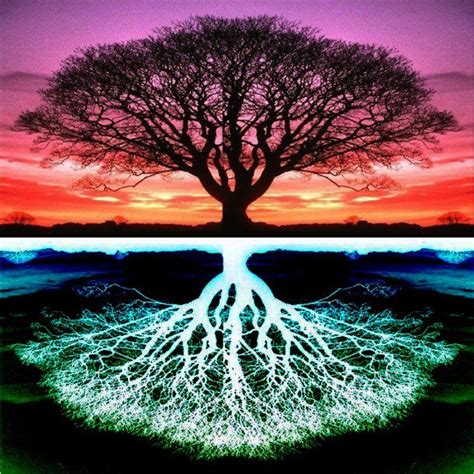 Epitome Lessons From Jeremiahs Tree Of Life