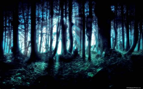 44 Hd Dark Forest Wallpaper Wallpapersafari