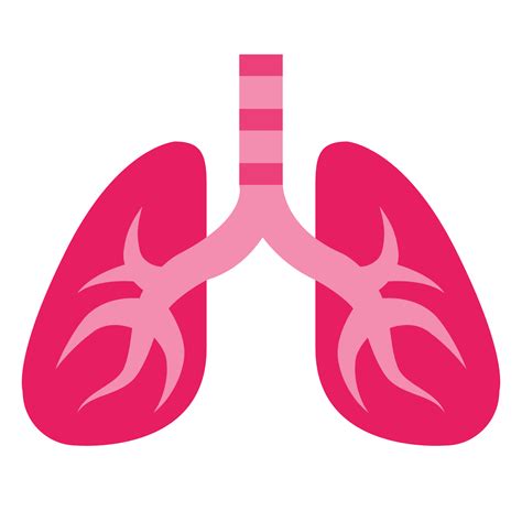 Lungs Png Lungs Clipart Transparent Png Kindpng Images