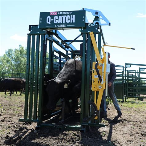Q Catch Portable Cattle Chute Alley And Tub Arrowquip