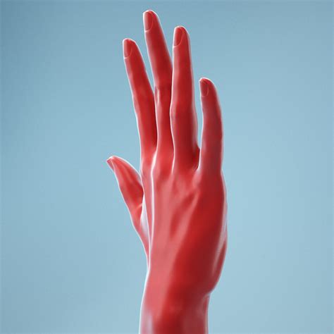 Standard Pose Realistic Hand Polygonal Miniatures