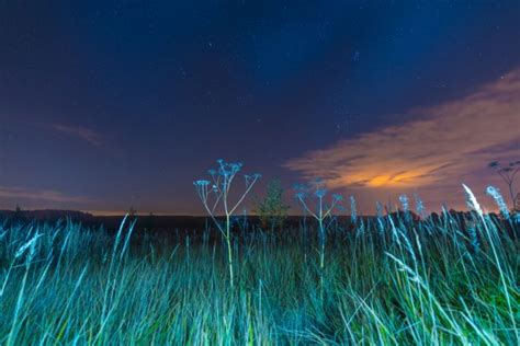Meadow Landscape At Night Time — Stock Photo © Leolintang