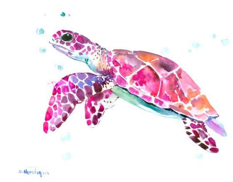 Sea Turtle Original Watercolor Painting 14 X 11 In Purple Pink