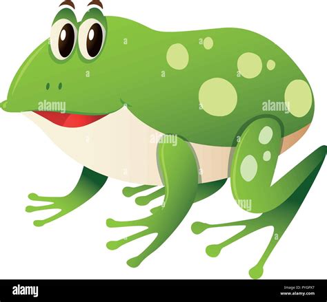 Happy Frog On White Background Illustration Stock Vector Image And Art