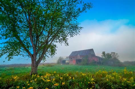 Country Morning Photograph By Brian Stevens