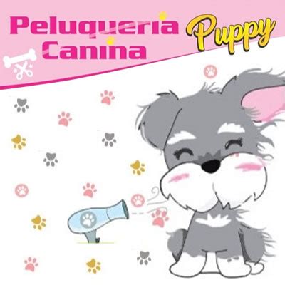 Peluquer A Canina Puppy Directorio Ipiales