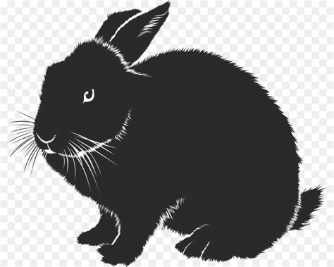 Vector Graphics Rabbit Silhouette Stock Illustration Png Download