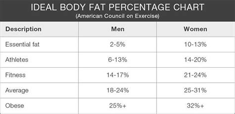 A Beginners Guide To Body Composition Fit