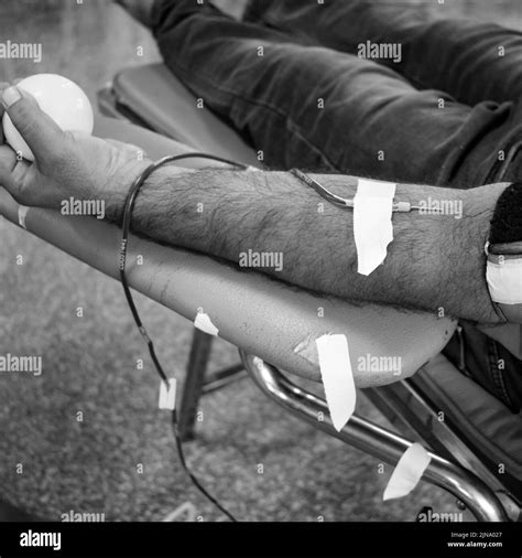 Blood Donor At Blood Donation Camp Held With A Bouncy Ball Holding In