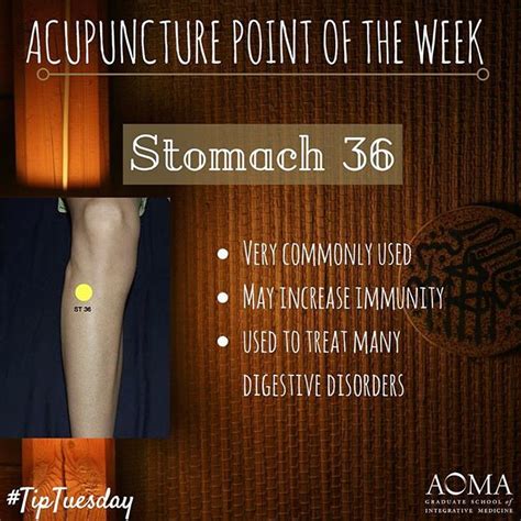 Aoma On Instagram “tiptuesday Acupuncture Poibt Of The Week