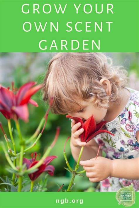 Therapeutic Garden Tips For Home Gardeners National Garden Bureau
