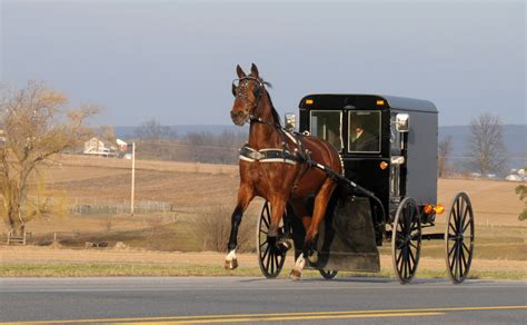 Amish Carriage Lancaster Pennsylvania Photo By Richard C Evans