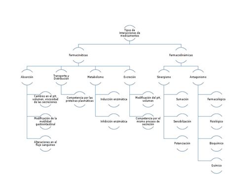 Tipos De Interacción Mapa Conceptual