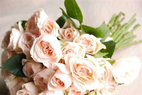 Diy Bridal Bouquet Light Peach Spray Roses