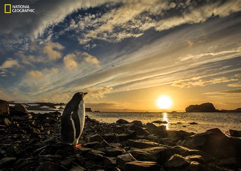 National Geographic Nature Photographer Of The Year 2016