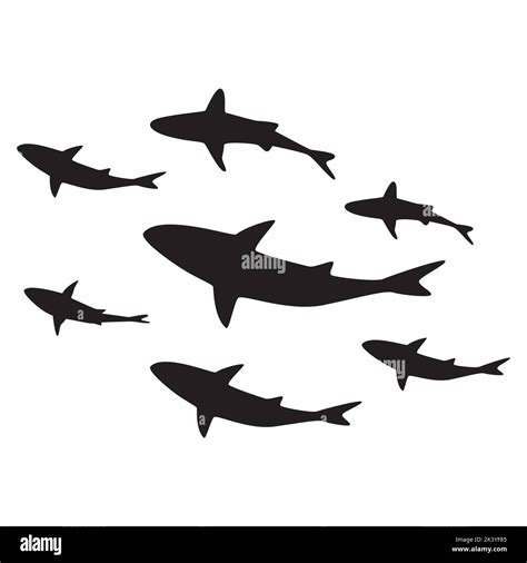 Vector Set Of Sharks Silhouettes Illustration Isolated On White