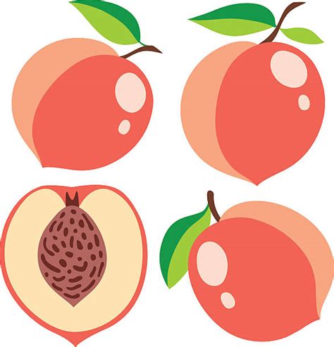 Top 60 Peaches Clip Art Vector Graphics And Illustrations Istock