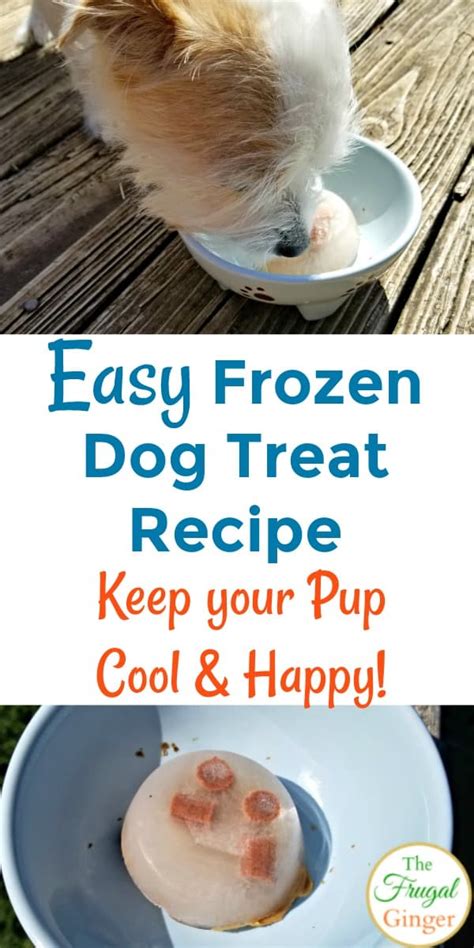 Enjoy baking treats for your cat. Easy Frozen Dog Treat Recipe: Keep your Pup Happy & Cool!